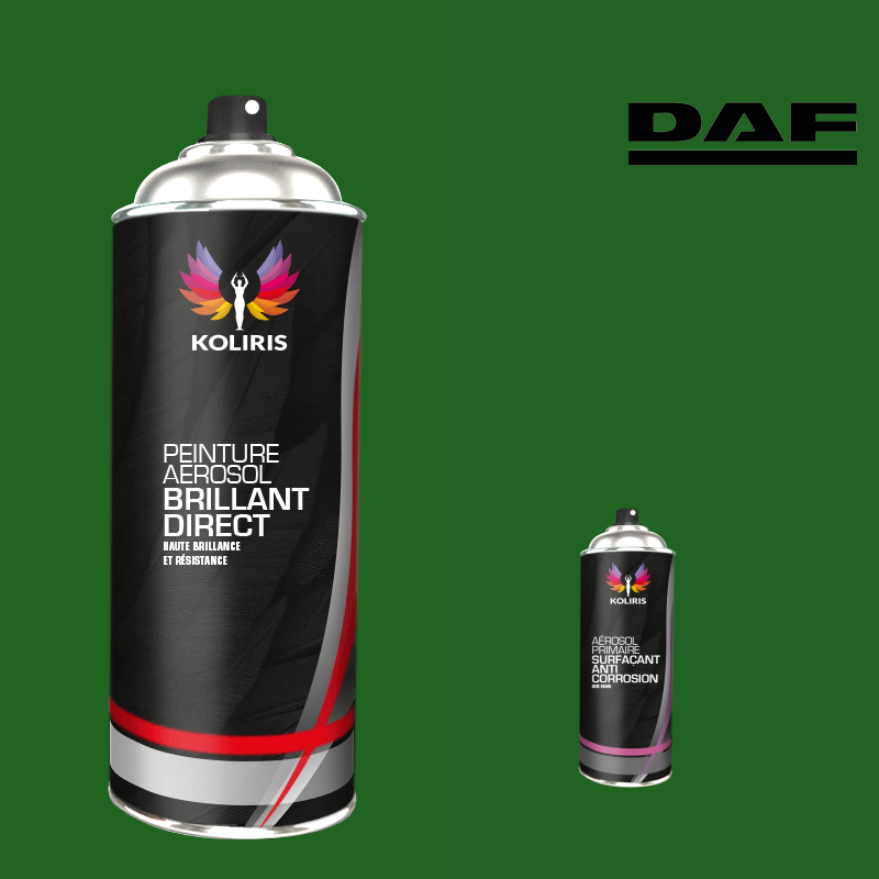 Pack 2 aérosols peinture utilitaire 1K brillant Daf