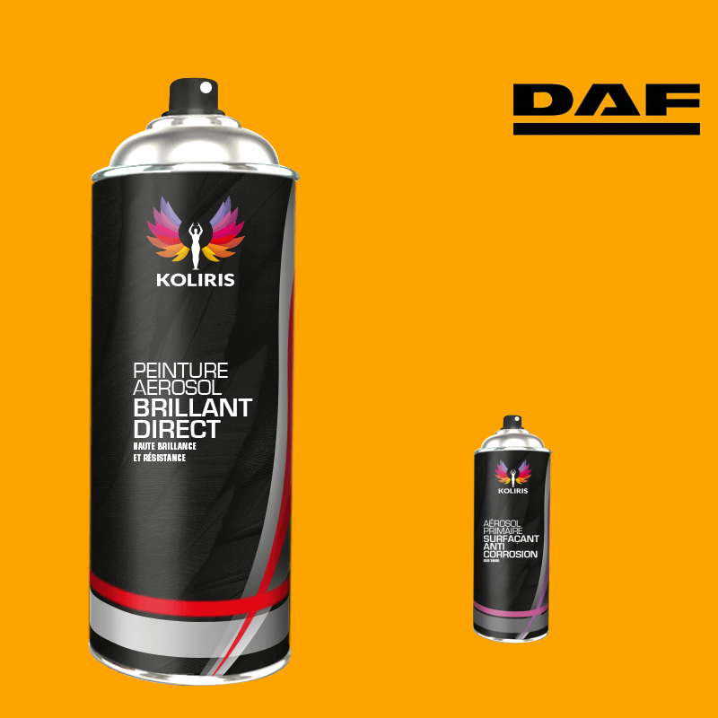 Pack 2 aérosols peinture utilitaire 1K brillant Daf
