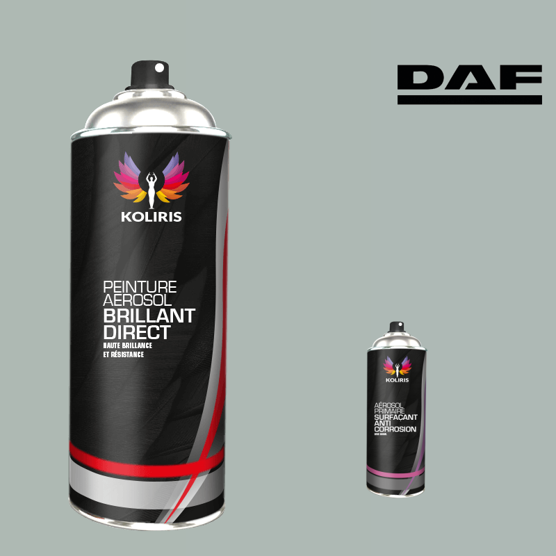 Pack 2 aérosols peinture utilitaire 1K brillant Daf