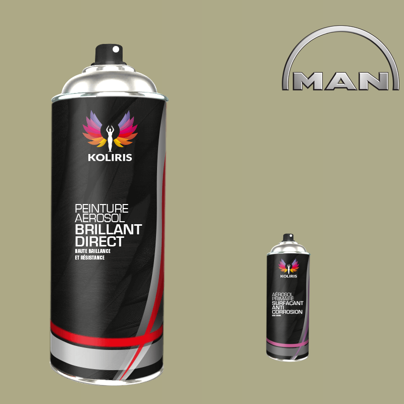 Pack 2 aérosols peinture utilitaire 1K brillant Man - Carenciel.pro