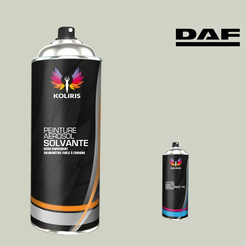 Pack 2 aérosols peinture utilitaire solvant Daf en vente - Carenciel