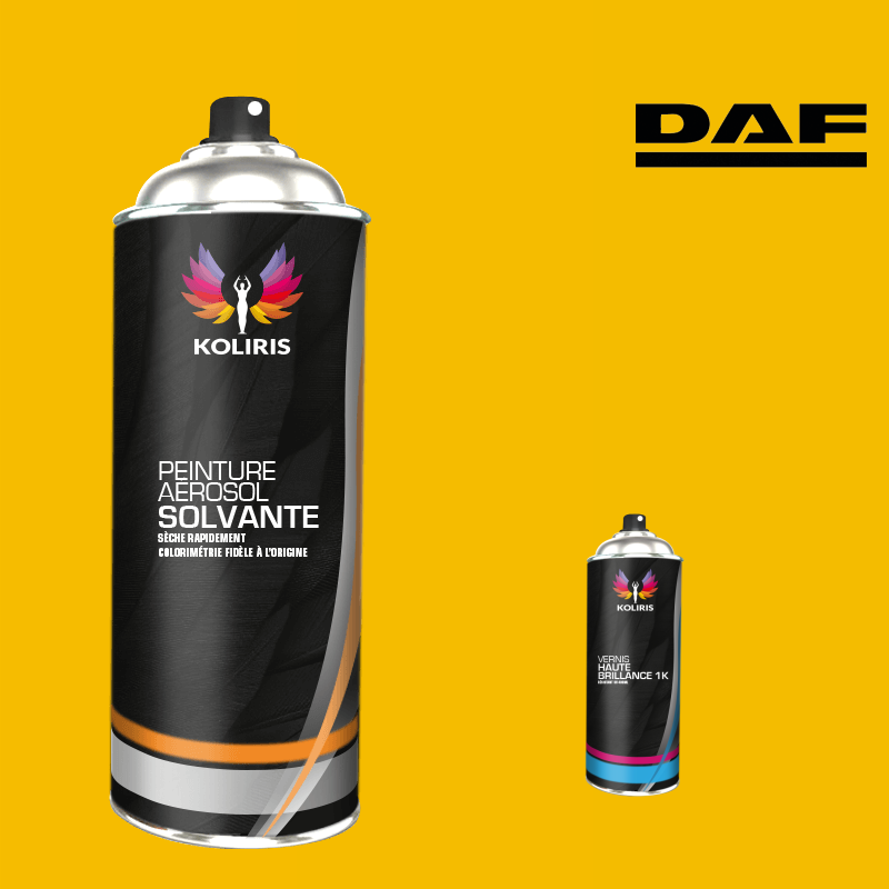 Pack 2 aérosols peinture utilitaire solvant Daf en vente - Carenciel