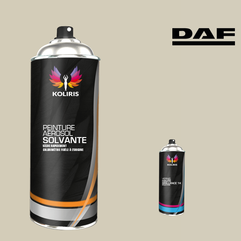 Pack 2 aérosols peinture utilitaire solvant Daf en vente - Carenciel