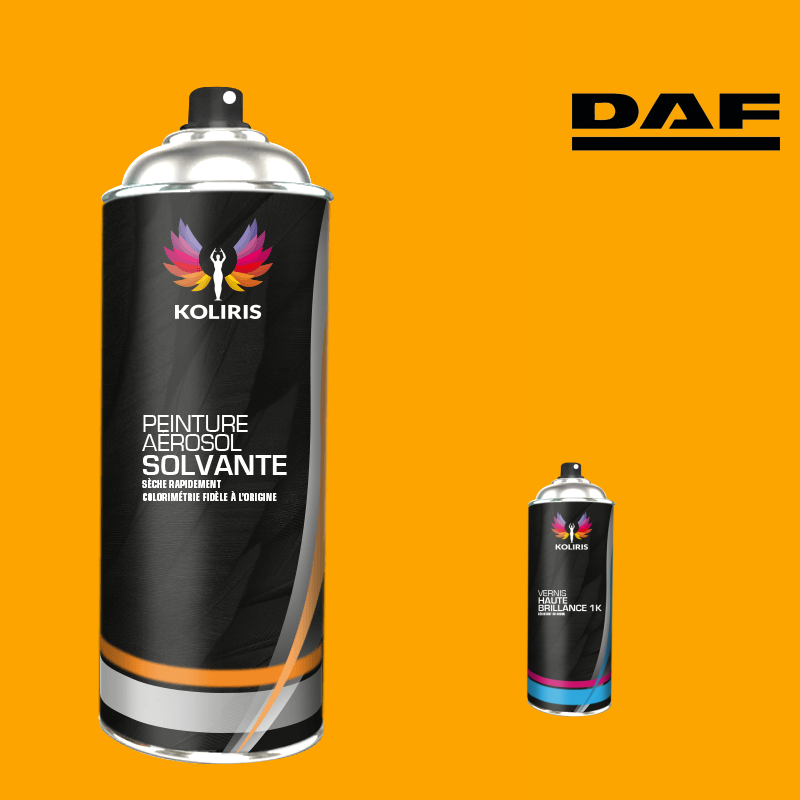 Pack 2 aérosols peinture utilitaire solvant Daf en vente - Carenciel