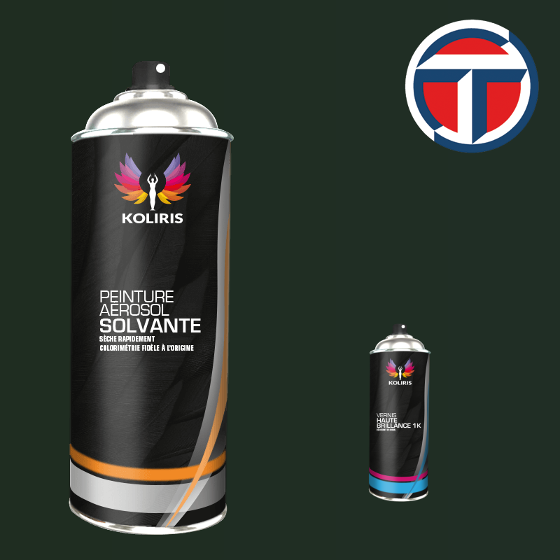 Pack 2 aérosols peinture utilitaire solvant Talbot