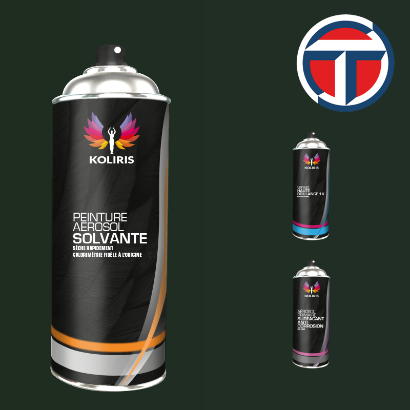 Pack 3 aérosols peinture utilitaire Talbot - Carenciel.pro