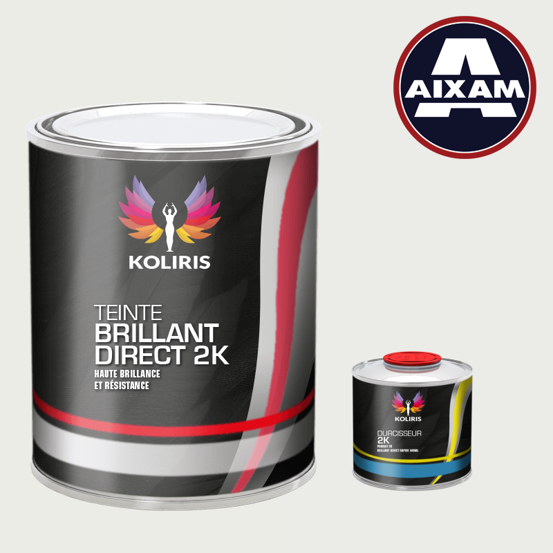 Kit peinture et durcisseur voiture brillant direct VOC420 Aixam - Carenciel