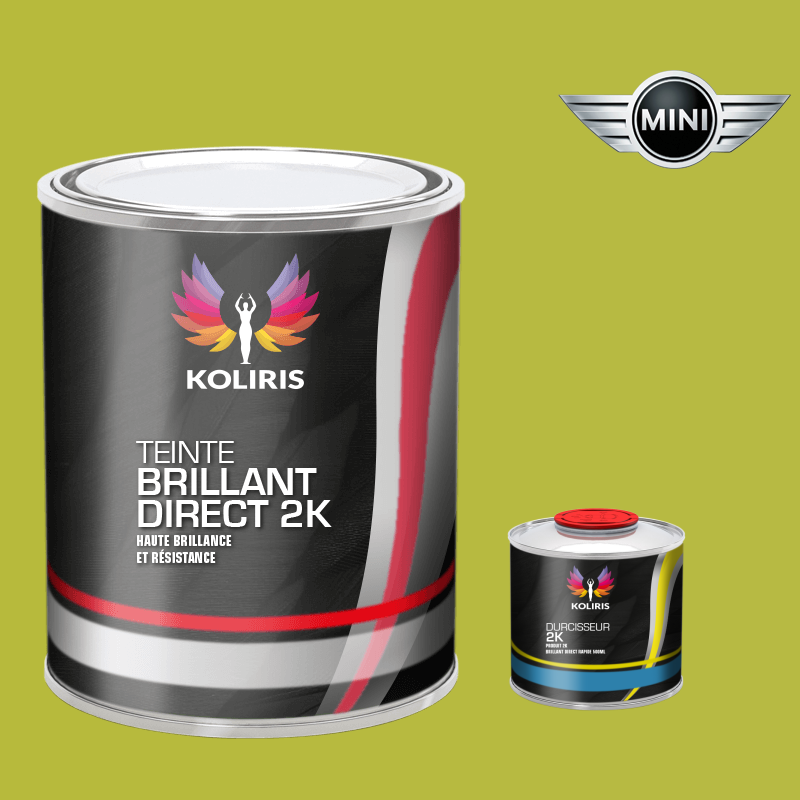 Kit peinture et durcisseur voiture brillant direct VOC420 Mini - Pour professionnels de la peinture automobile