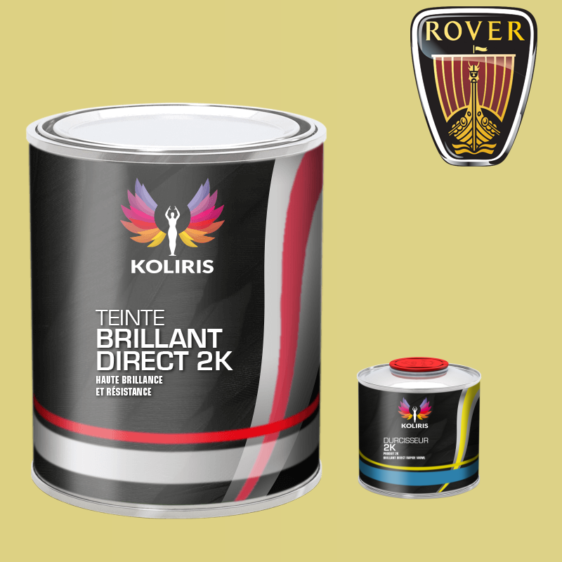 Kit peinture et durcisseur voiture brillant direct VOC420 Rover