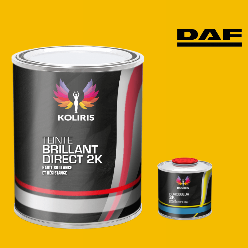 Kit peinture et durcisseur utilitaire Daf - carenciel.pro
