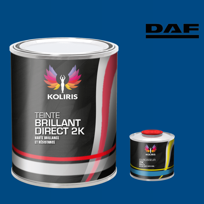 Kit peinture et durcisseur utilitaire Daf - carenciel.pro