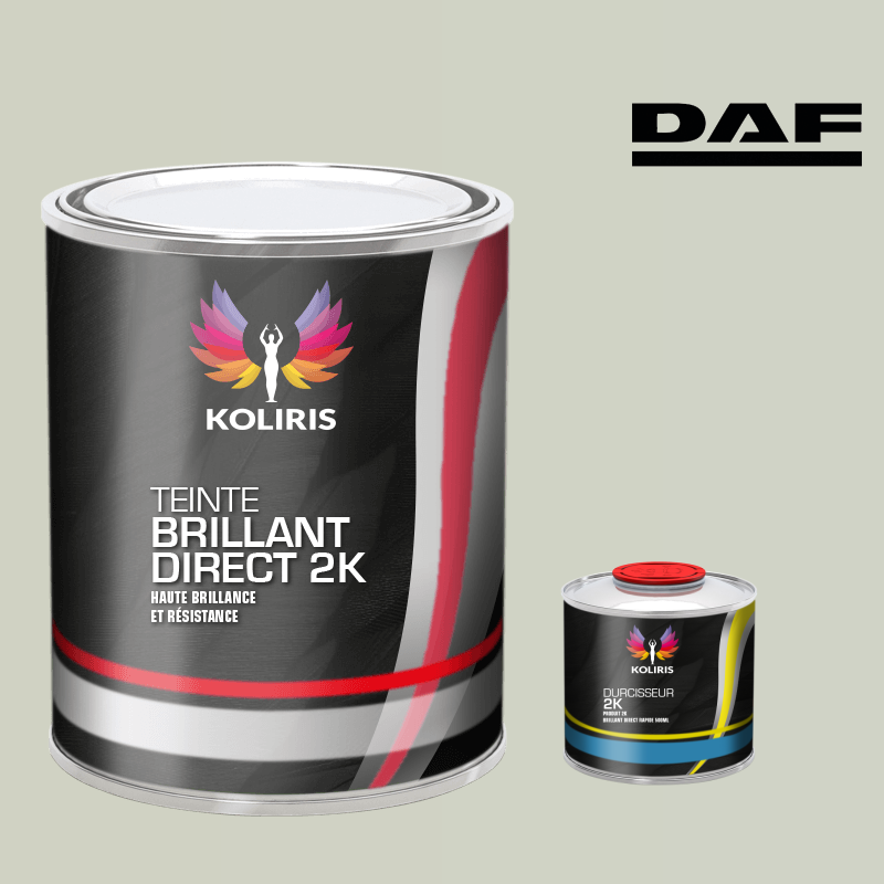 Kit peinture et durcisseur utilitaire Daf - carenciel.pro