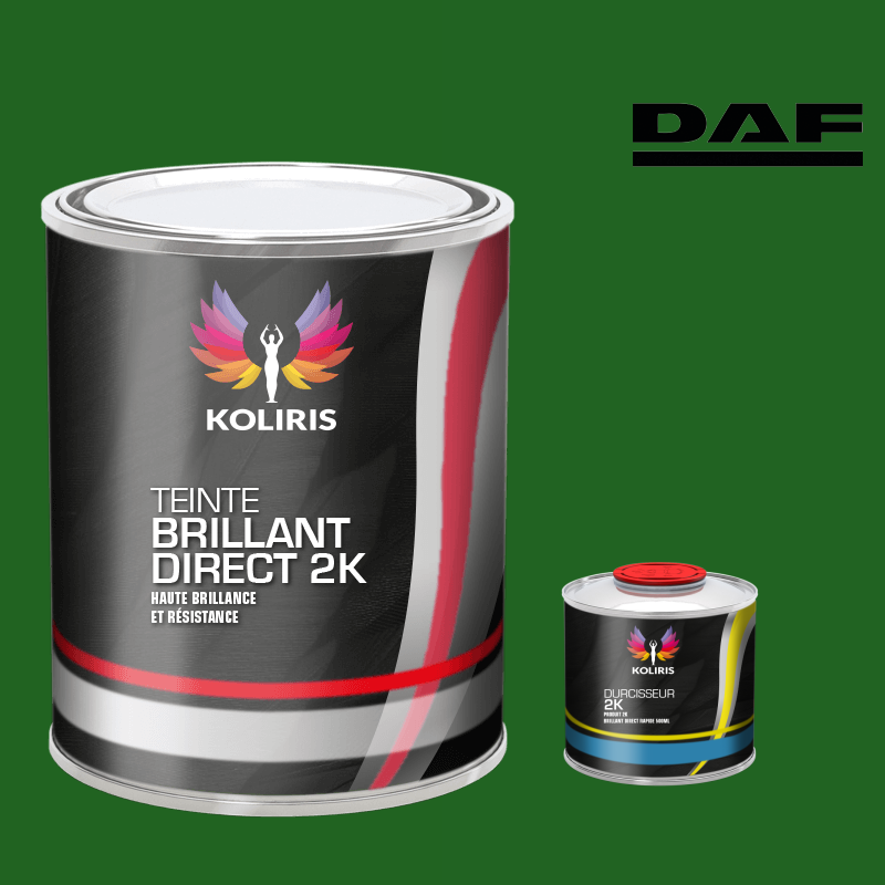 Kit peinture et durcisseur utilitaire Daf - carenciel.pro