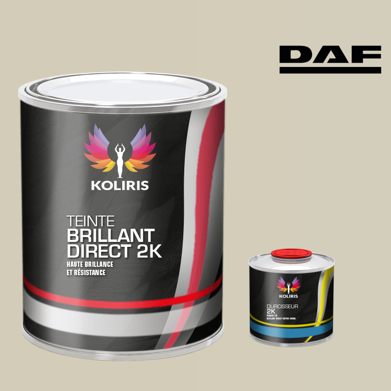Kit peinture et durcisseur utilitaire Daf - carenciel.pro