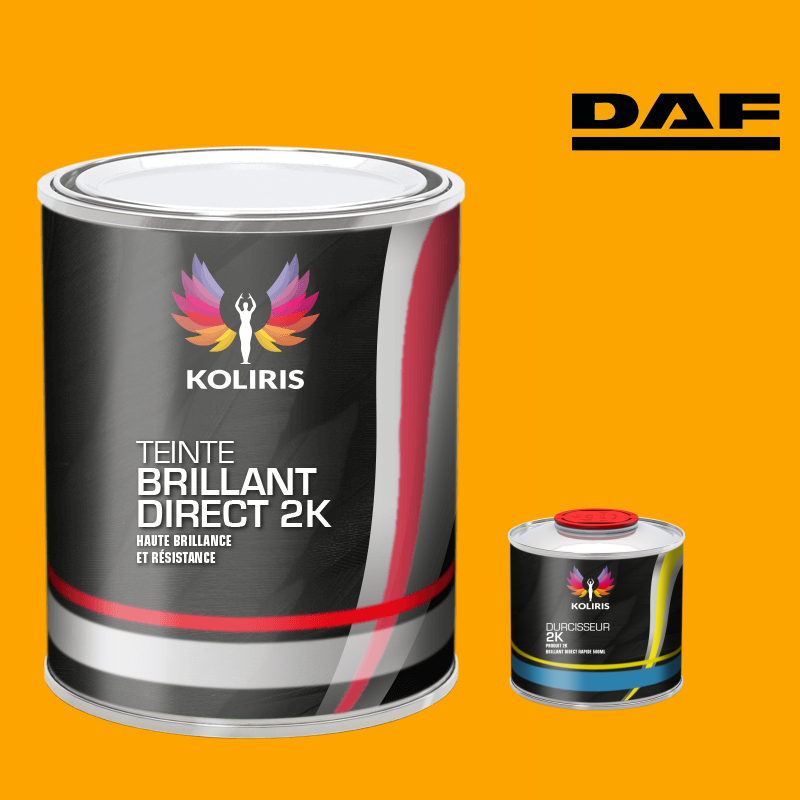 Kit peinture et durcisseur utilitaire Daf - carenciel.pro