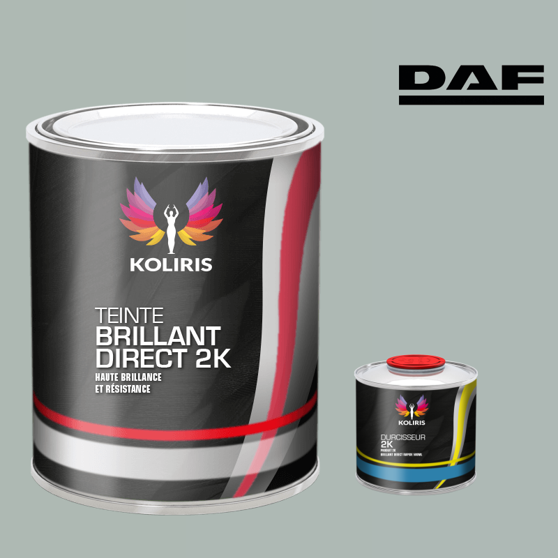 Kit peinture et durcisseur utilitaire Daf - carenciel.pro