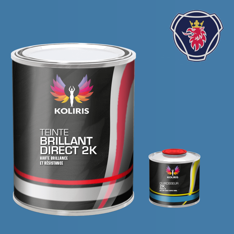 Kit peinture et durcisseur utilitaire Scania Vabis - carenciel.pro