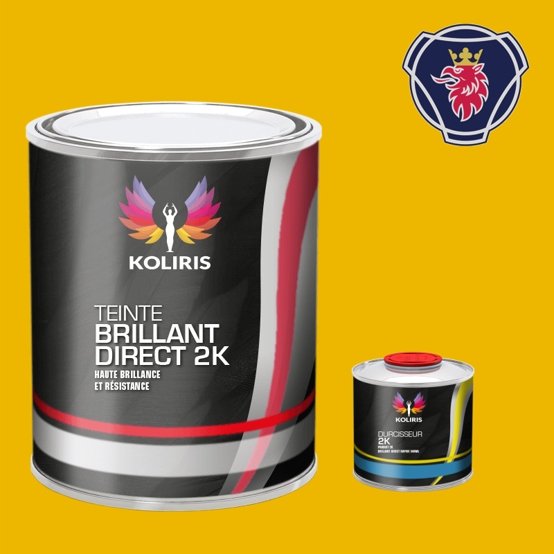 Kit peinture et durcisseur utilitaire Scania Vabis - carenciel.pro