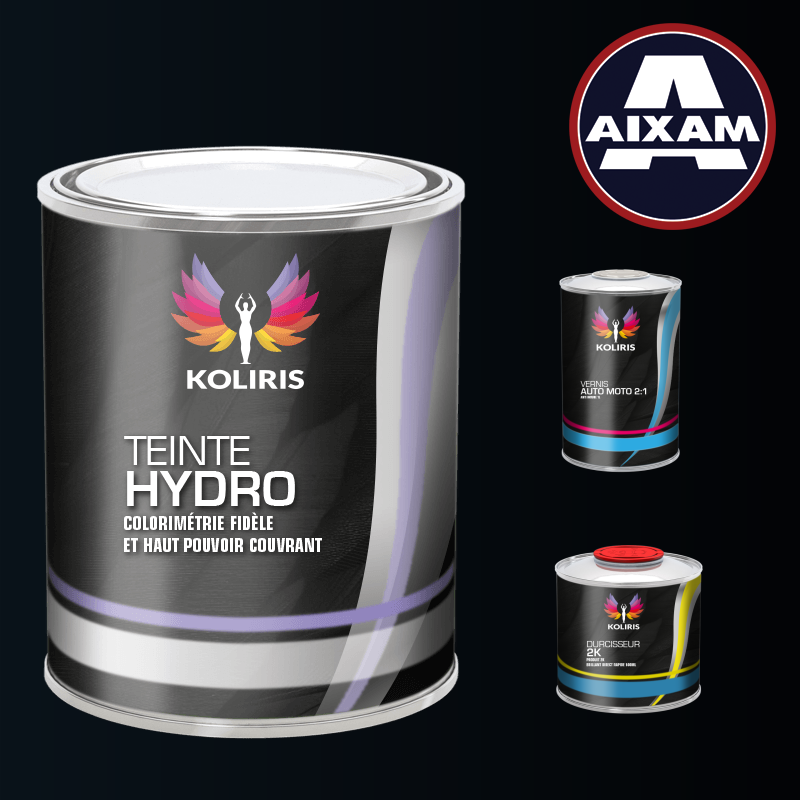 Kit peinture et vernis voiture hydro Aixam - Koliris