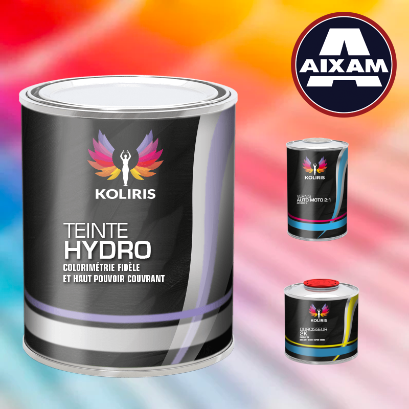 Kit peinture et vernis voiture hydro Aixam - Koliris