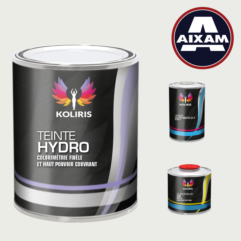 Kit peinture et vernis voiture hydro Aixam - Koliris