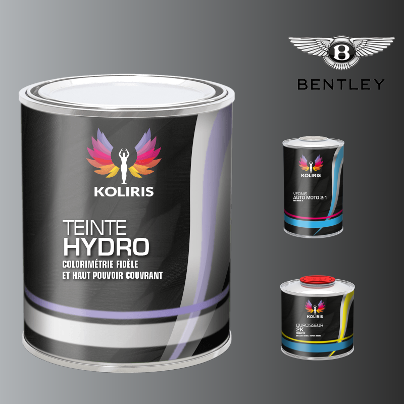 Kit peinture et vernis voiture hydro Bentley - Carenciel.pro