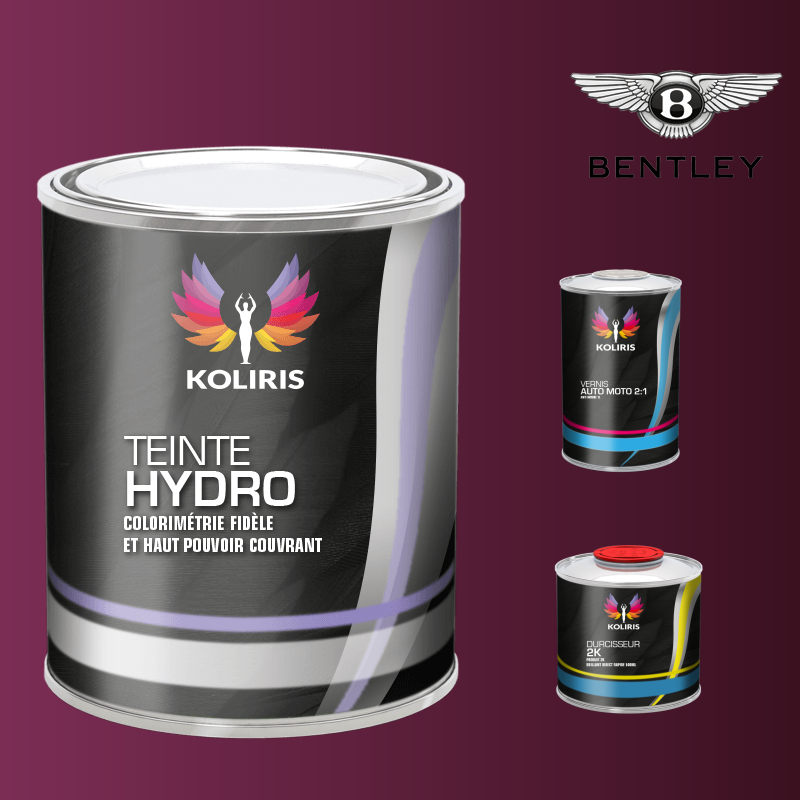 Kit peinture et vernis voiture hydro Bentley - Carenciel.pro