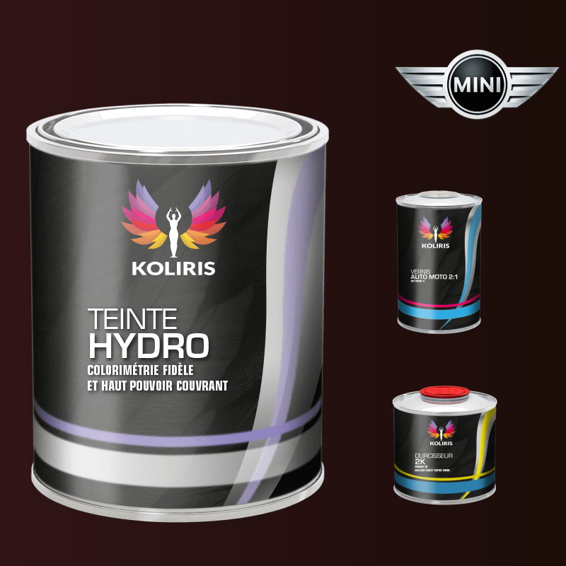 Kit peinture et vernis voiture hydro Mini - carenciel.pro