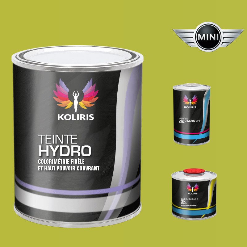 Kit peinture et vernis voiture hydro Mini - carenciel.pro