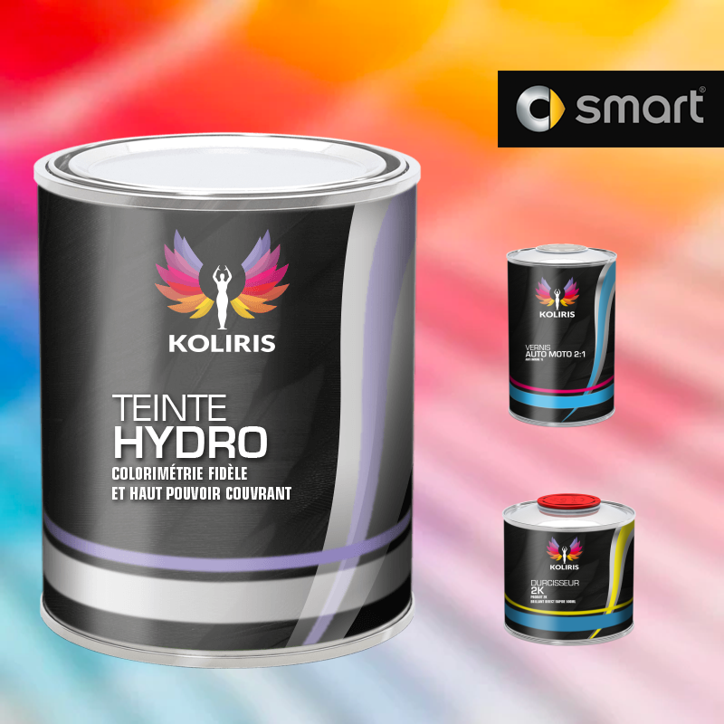 Kit peinture et vernis voiture hydro Smart - Carenciel.pro