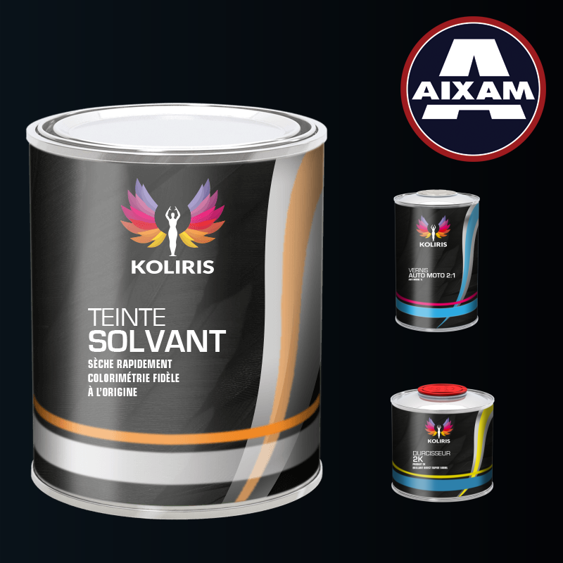 Kit peinture et vernis voiture solvant Aixam - Carenciel.pro