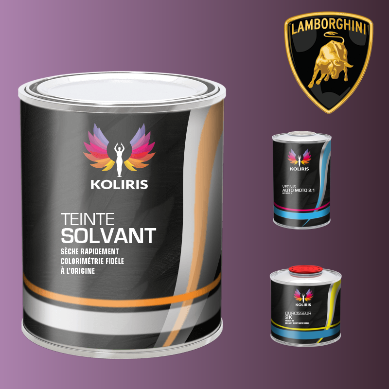 Kit peinture et vernis voiture solvant Lamborghini - Carenciel