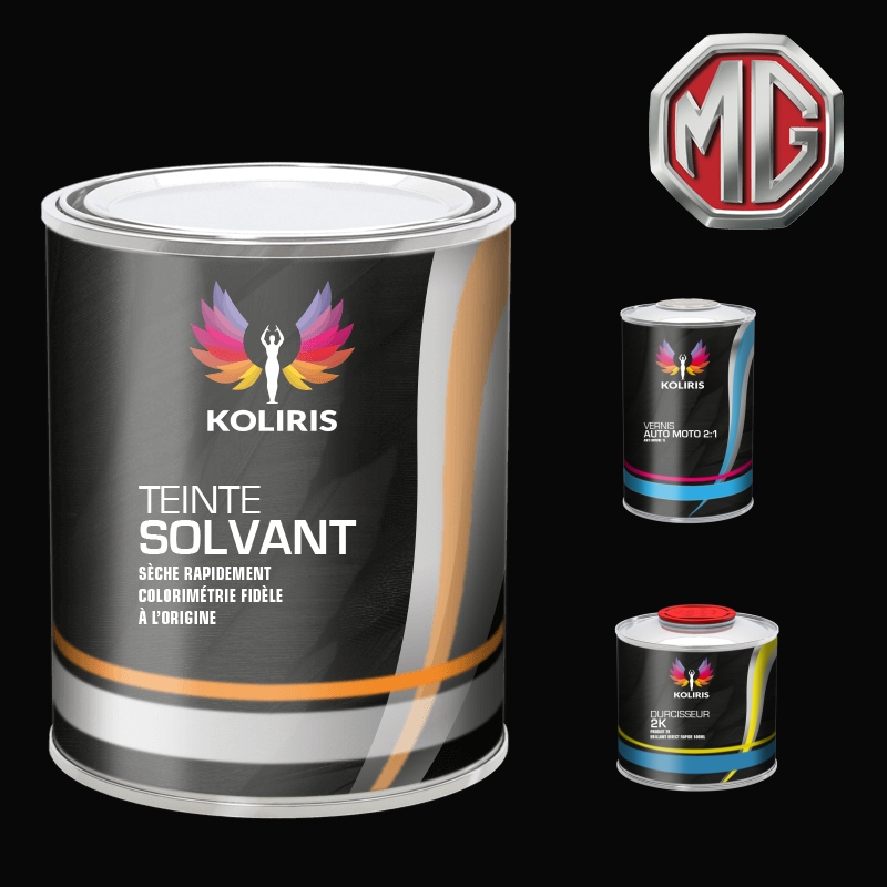 Kit peinture et vernis voiture solvant Mg - Carenciel.pro