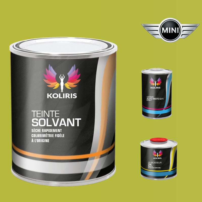 Kit peinture et vernis voiture solvant Mini - carenciel.pro
