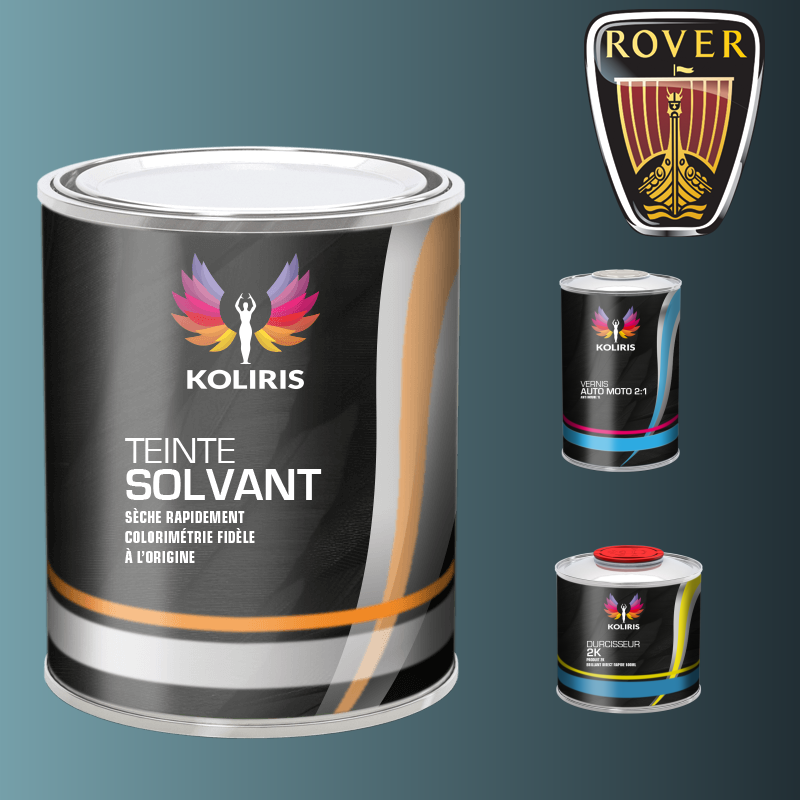 Kit peinture et vernis voiture solvant Rover - Carenciel