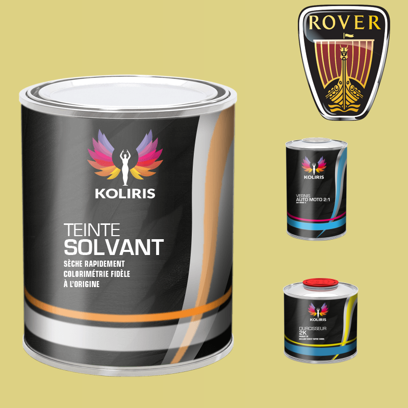 Kit peinture et vernis voiture solvant Rover - Carenciel
