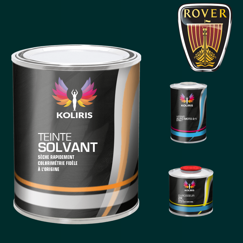 Kit peinture et vernis voiture solvant Rover - Carenciel