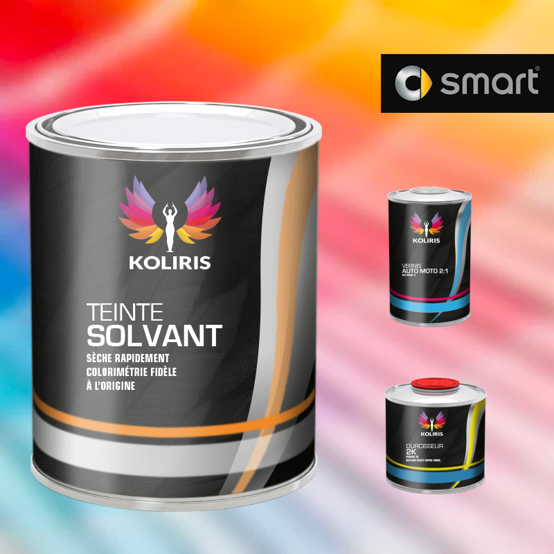 Kit peinture et vernis voiture solvant Smart - Carenciel.pro