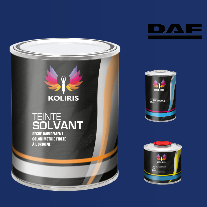 Kit peinture et vernis utilitaire Daf - carenciel.pro