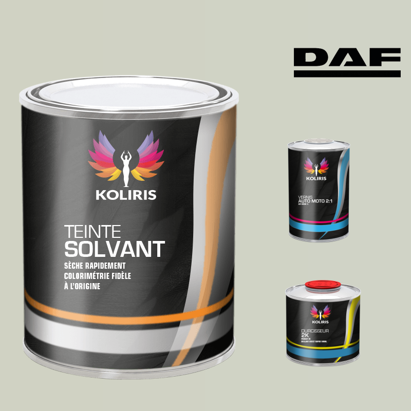 Kit peinture et vernis utilitaire Daf - carenciel.pro