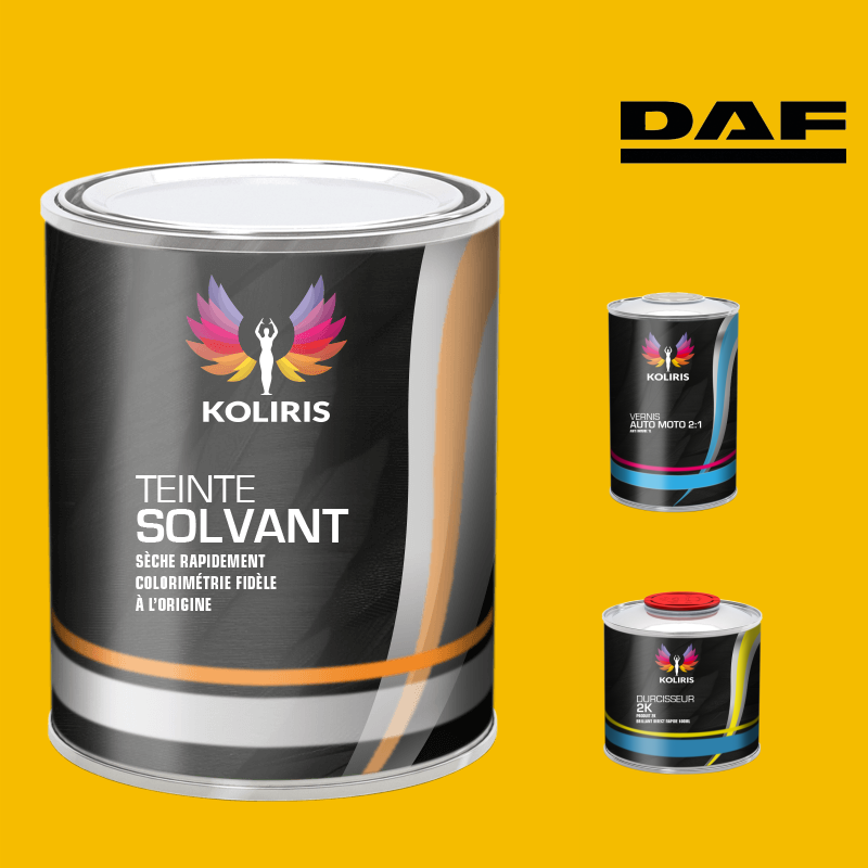 Kit peinture et vernis utilitaire Daf - carenciel.pro