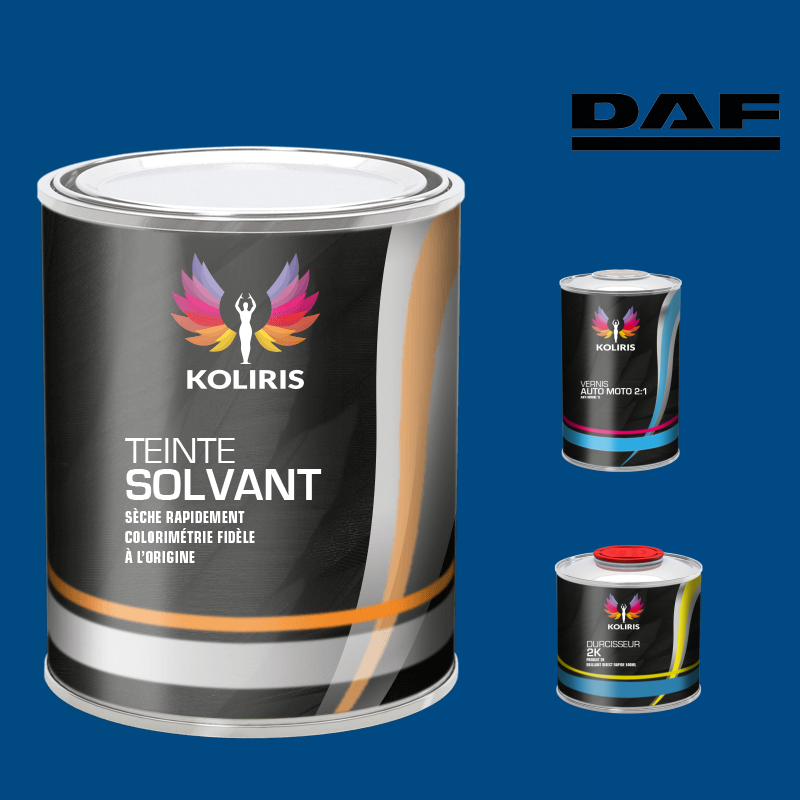 Kit peinture et vernis utilitaire Daf - carenciel.pro