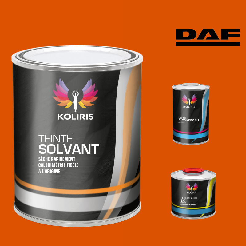 Kit peinture et vernis utilitaire Daf - carenciel.pro