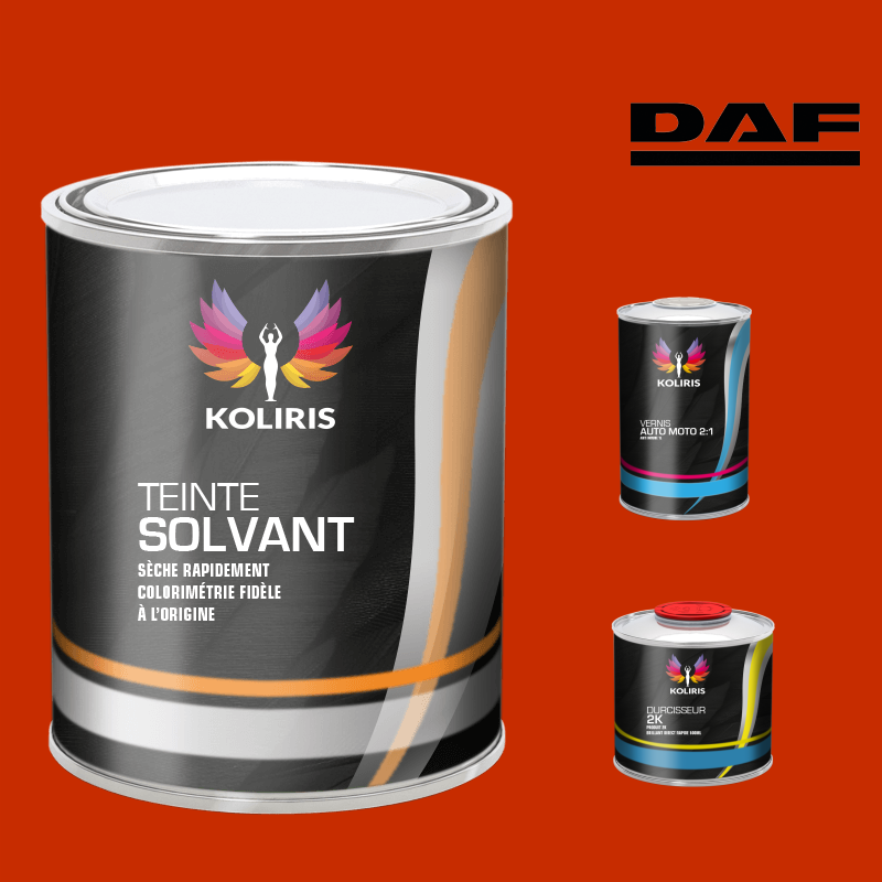 Kit peinture et vernis utilitaire Daf - carenciel.pro