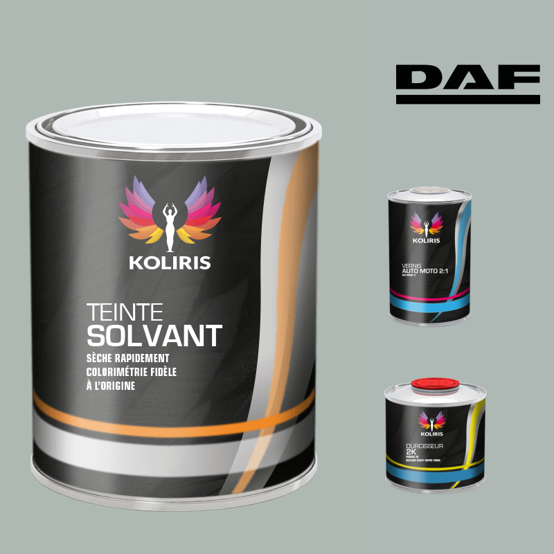 Kit peinture et vernis utilitaire Daf - carenciel.pro