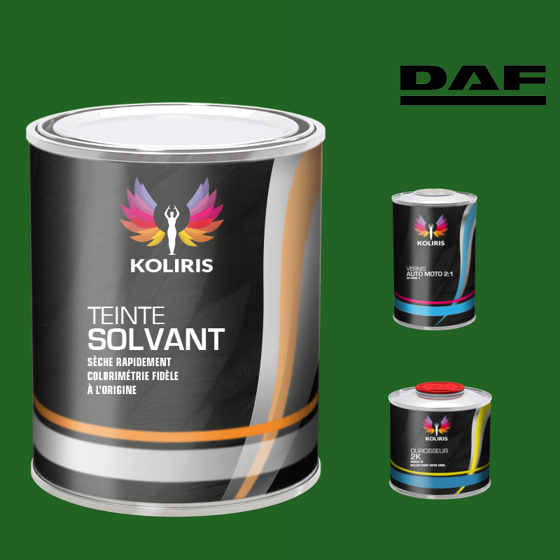 Kit peinture et vernis utilitaire Daf - carenciel.pro