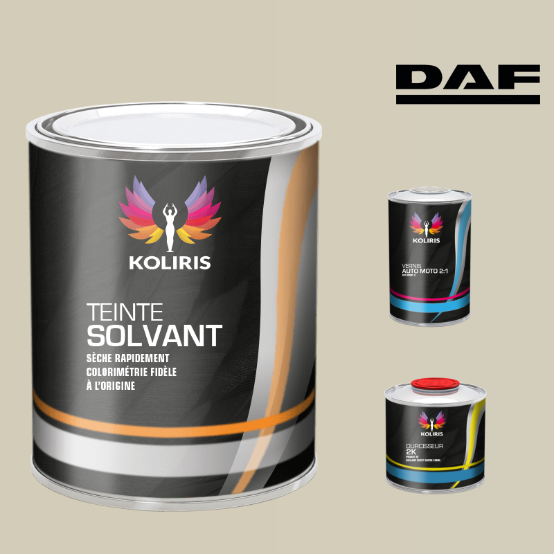 Kit peinture et vernis utilitaire Daf - carenciel.pro