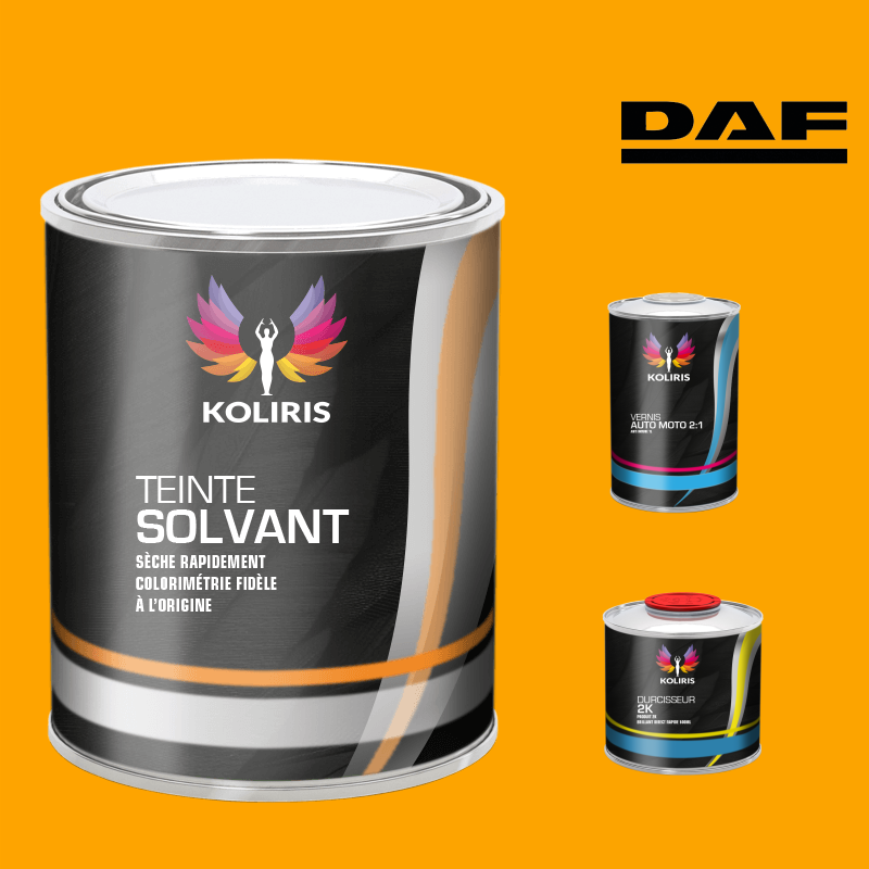 Kit peinture et vernis utilitaire Daf - carenciel.pro