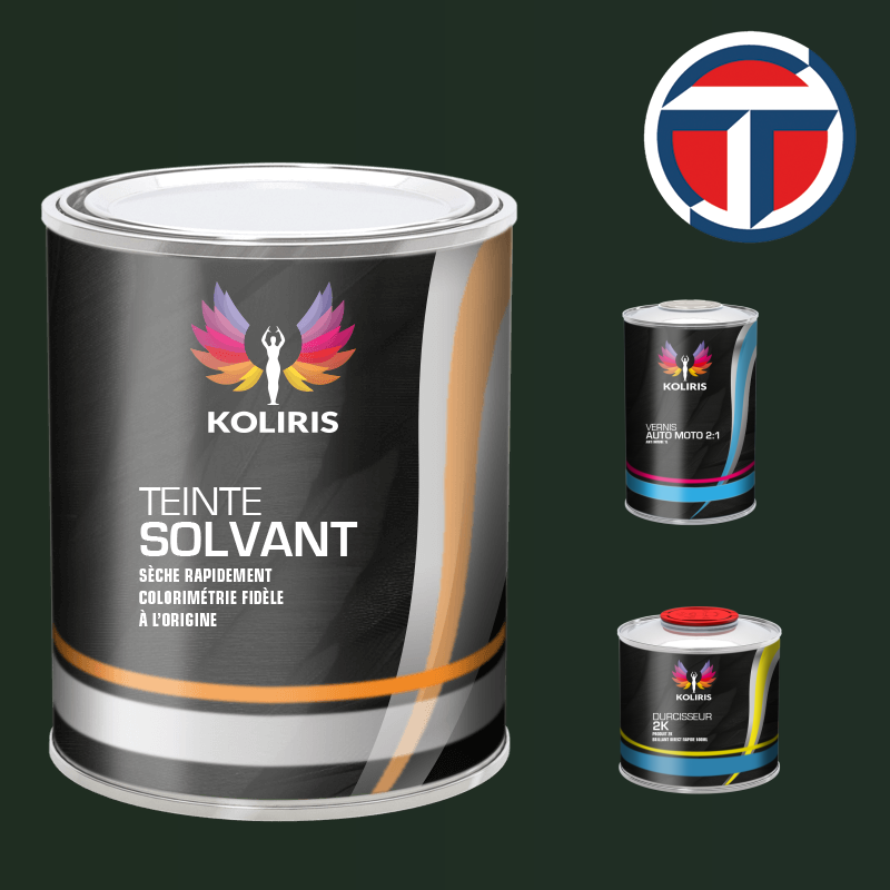 Kit peinture et vernis utilitaire - camion solvant Talbot en vente sur carenciel.pro