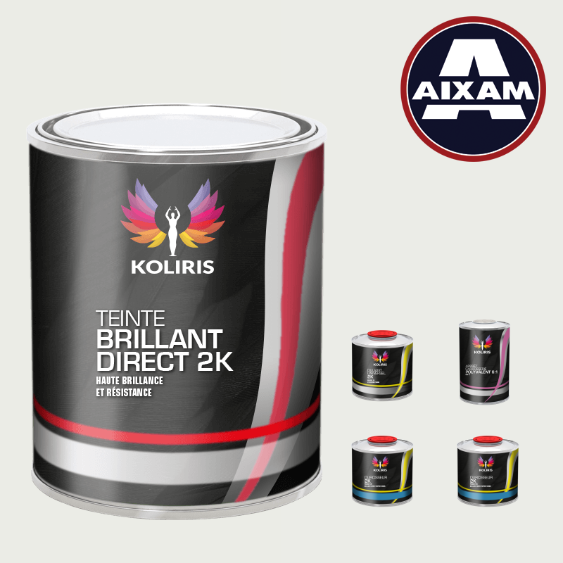 Pack peinture et primaire voiture brillant direct VOC420 Aixam - Carenciel.pro
